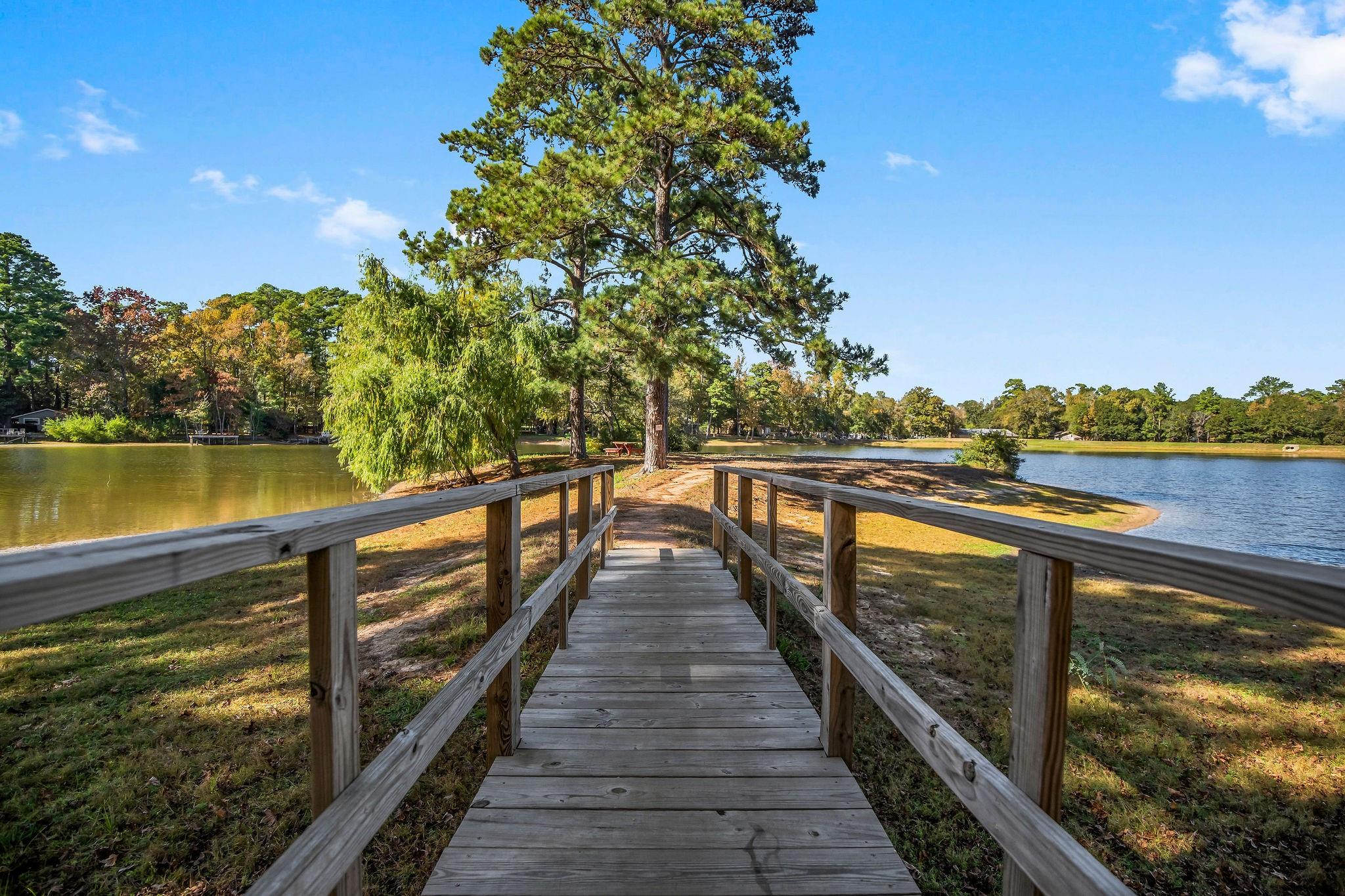 Wooden walkway leads between lakeside trees to a calm lake.