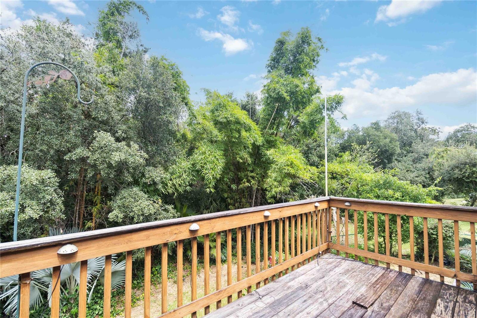 804 FORESTWOOD DR