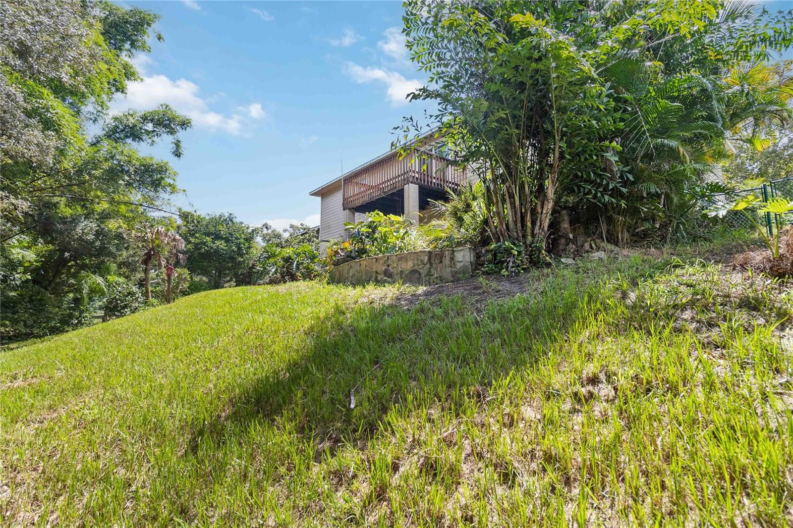 804 FORESTWOOD DR