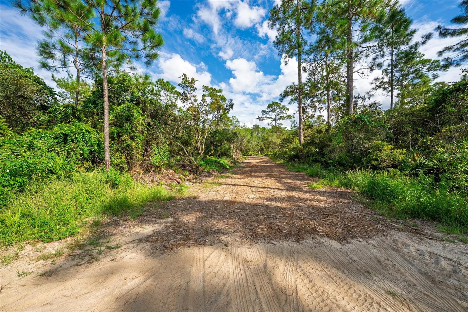 52215 STATE ROAD 19