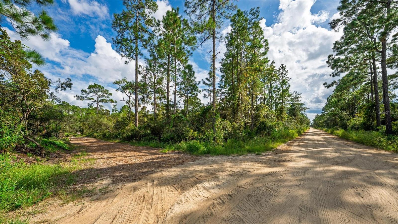 52215 STATE ROAD 19