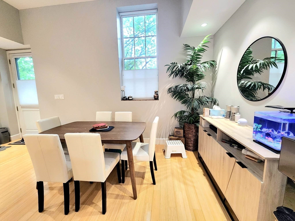 7 Waverley St # 7