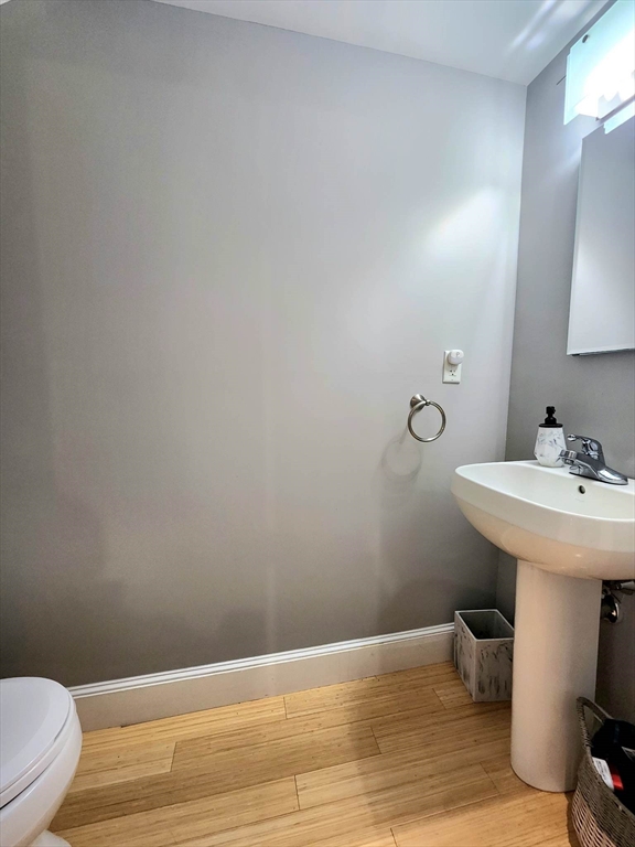 7 Waverley St # 7