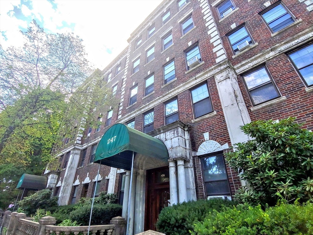 247 Chestnut Hill Ave # 31