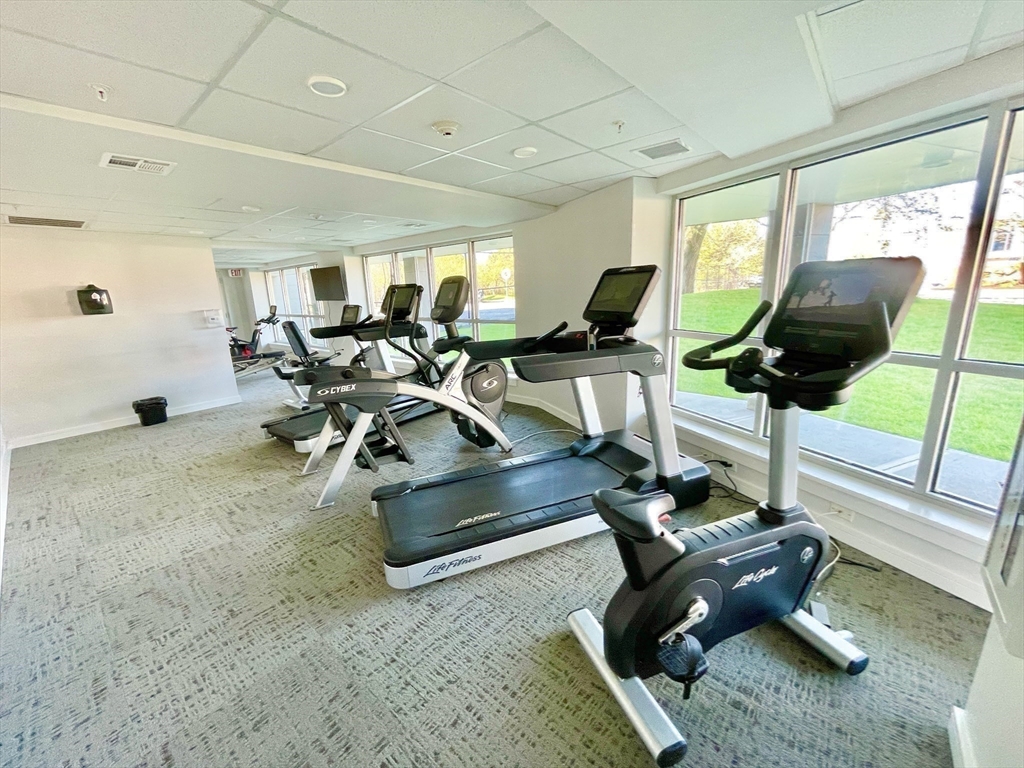 262 Monsignor O'brien Hwy # 306
