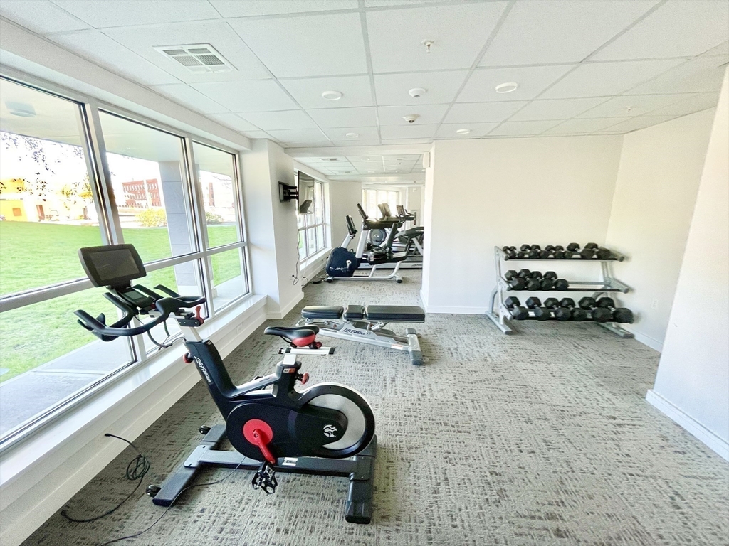 262 Monsignor O'brien Hwy # 306