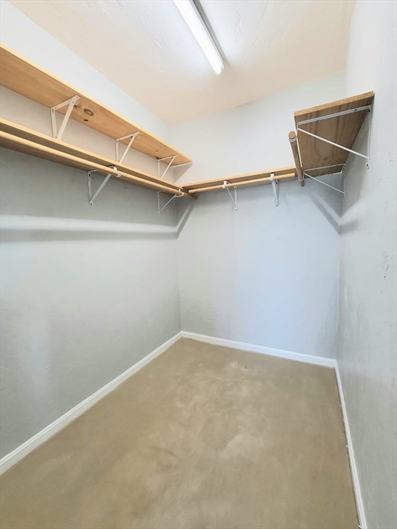 391 Hyde Park Ave # 206