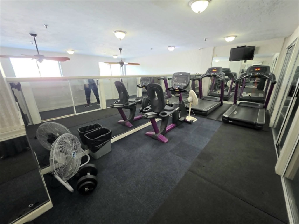 230 Willard St # 407