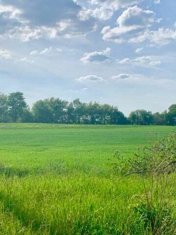 VL Spring Arbor Rd., Parcel 2 Road