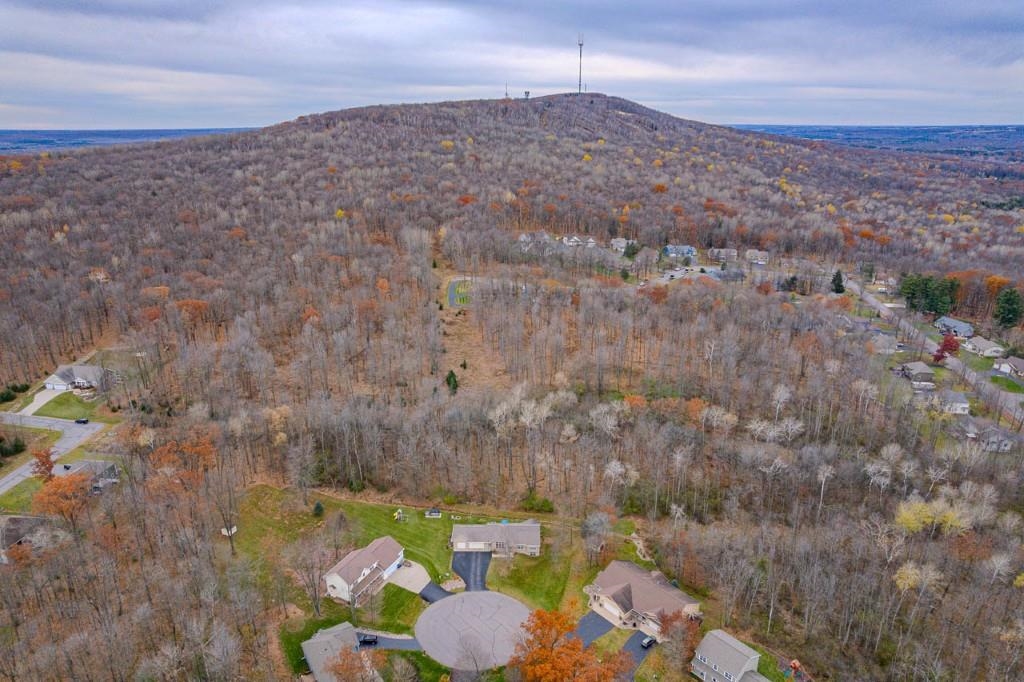 17 Acres SNOWFLAKE LANE