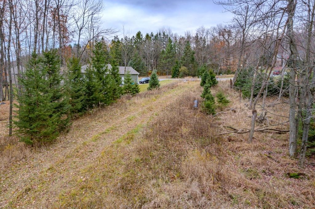 17 Acres SNOWFLAKE LANE
