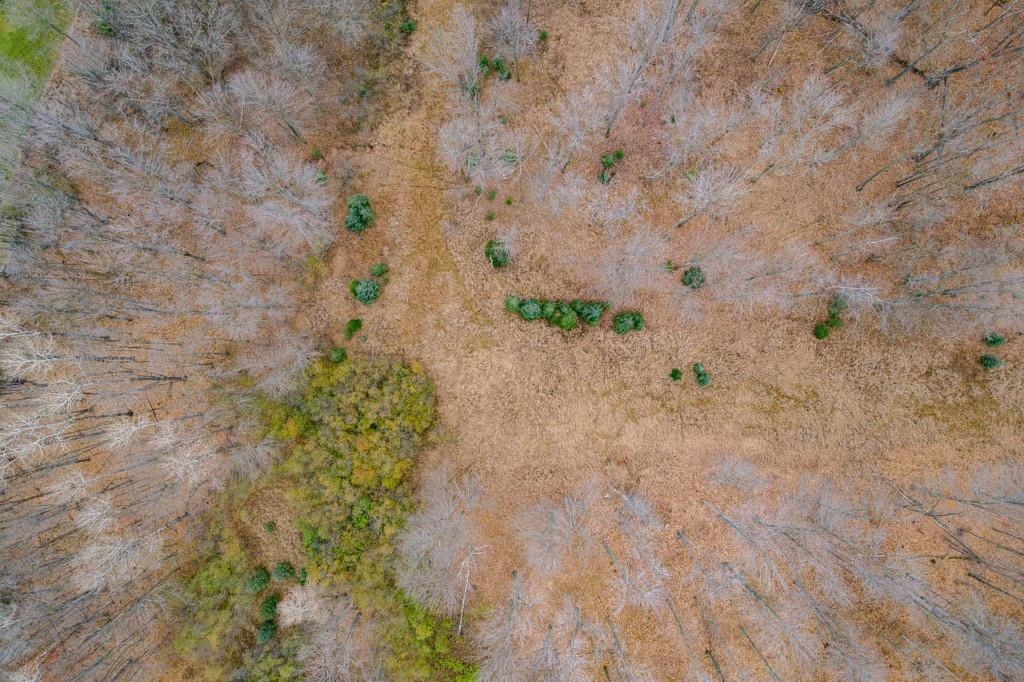 17 Acres SNOWFLAKE LANE