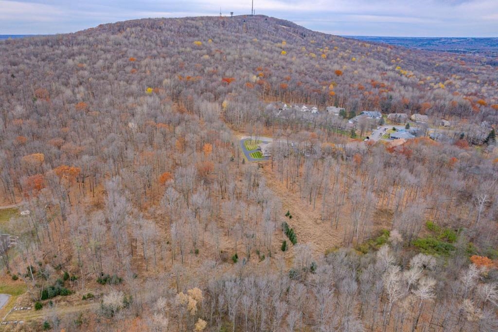 17 Acres SNOWFLAKE LANE