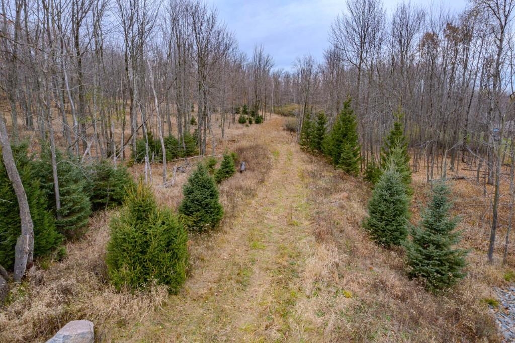 17 Acres SNOWFLAKE LANE