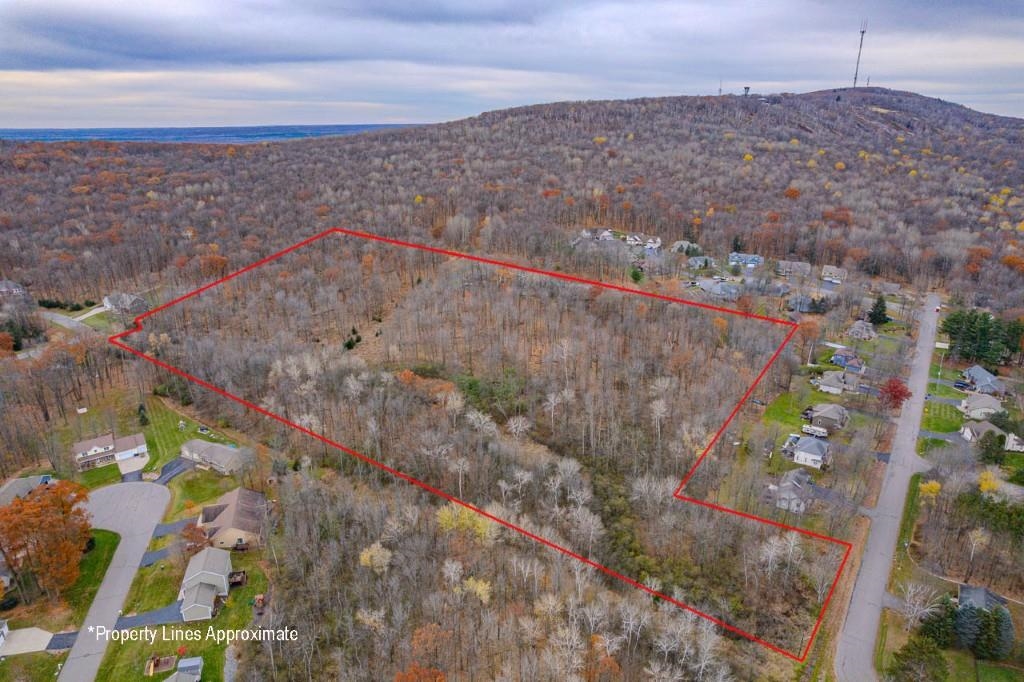 17 Acres SNOWFLAKE LANE