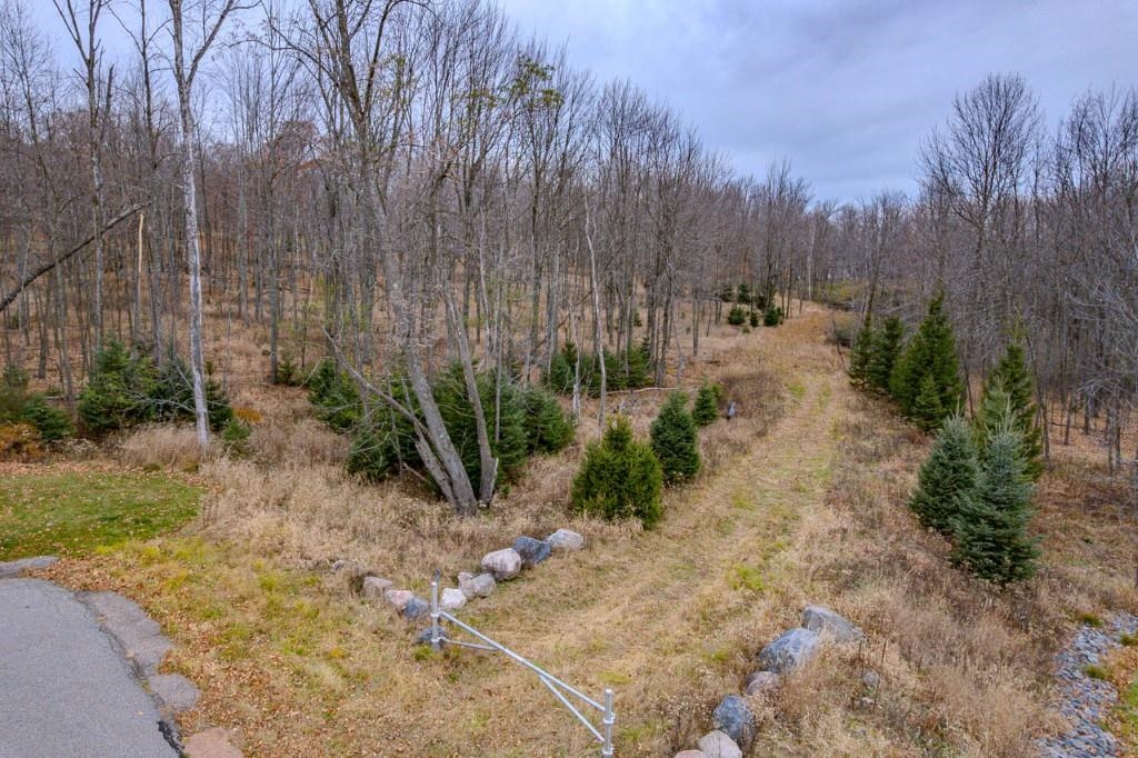 17 Acres SNOWFLAKE LANE