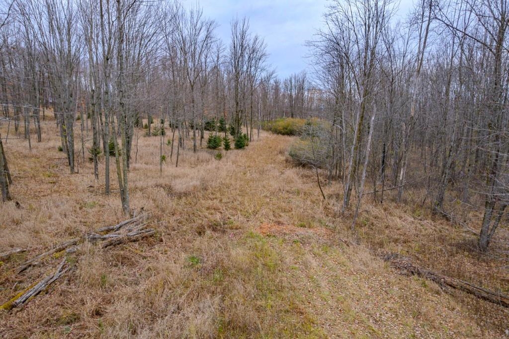 17 Acres SNOWFLAKE LANE