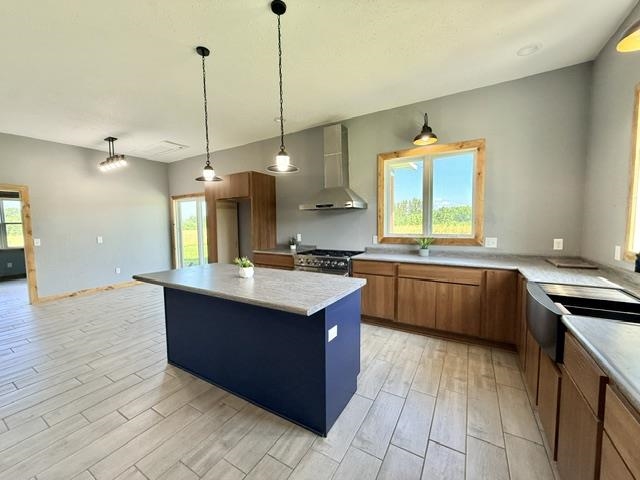 223046 TOMATO ROAD