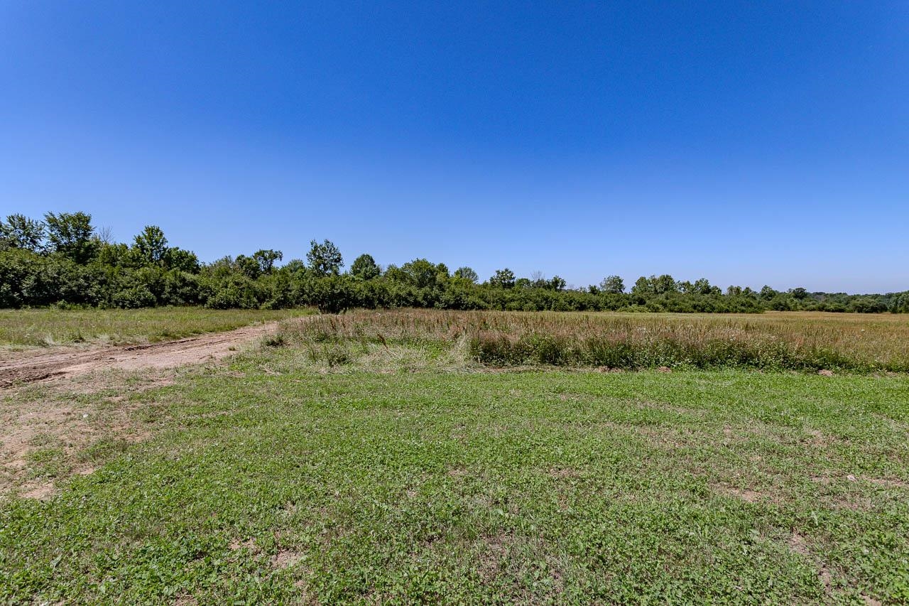 223046 TOMATO ROAD