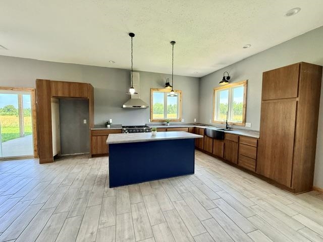 223046 TOMATO ROAD