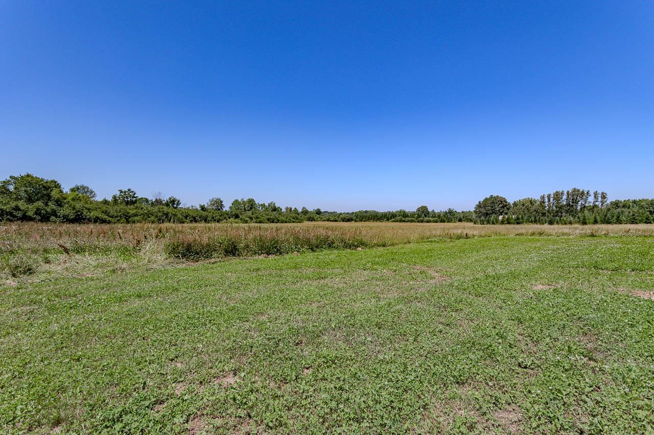 223046 TOMATO ROAD