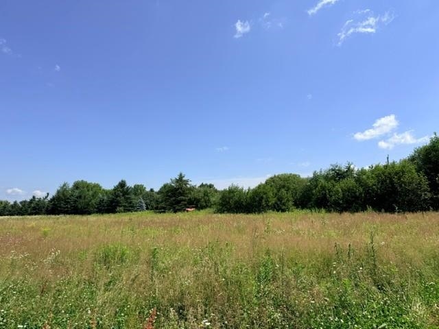 LOT 2 TOMATO ROAD