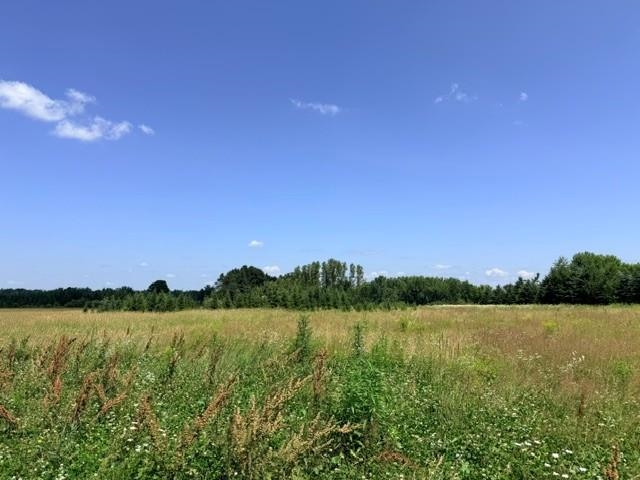 LOT 2 TOMATO ROAD