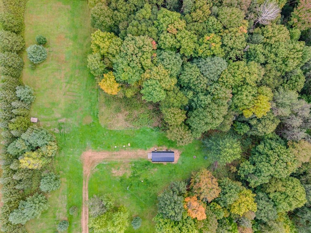 Wooded property with a grassy clearing, small outbuilding, and dirt driveway.