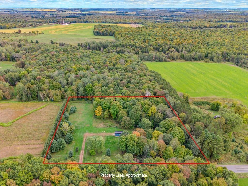 Aerial view of wooded rural acreage outlined in red, with a small outbuilding and driveway.