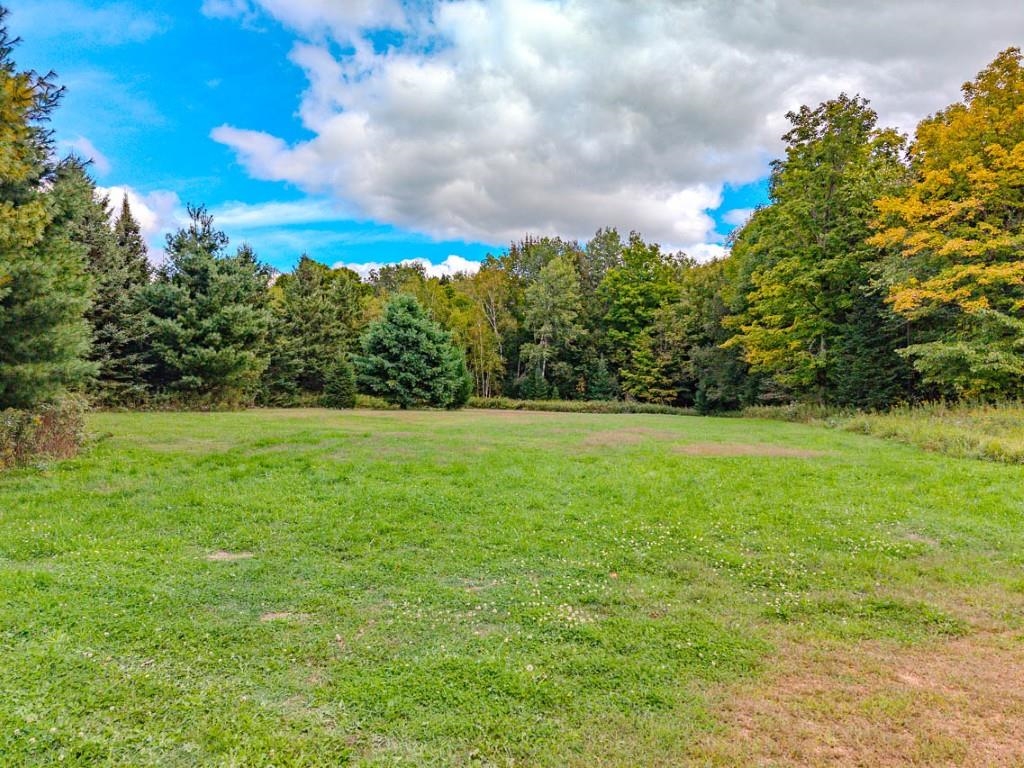 Grassy clearing bordered by mature trees with early autumn color.