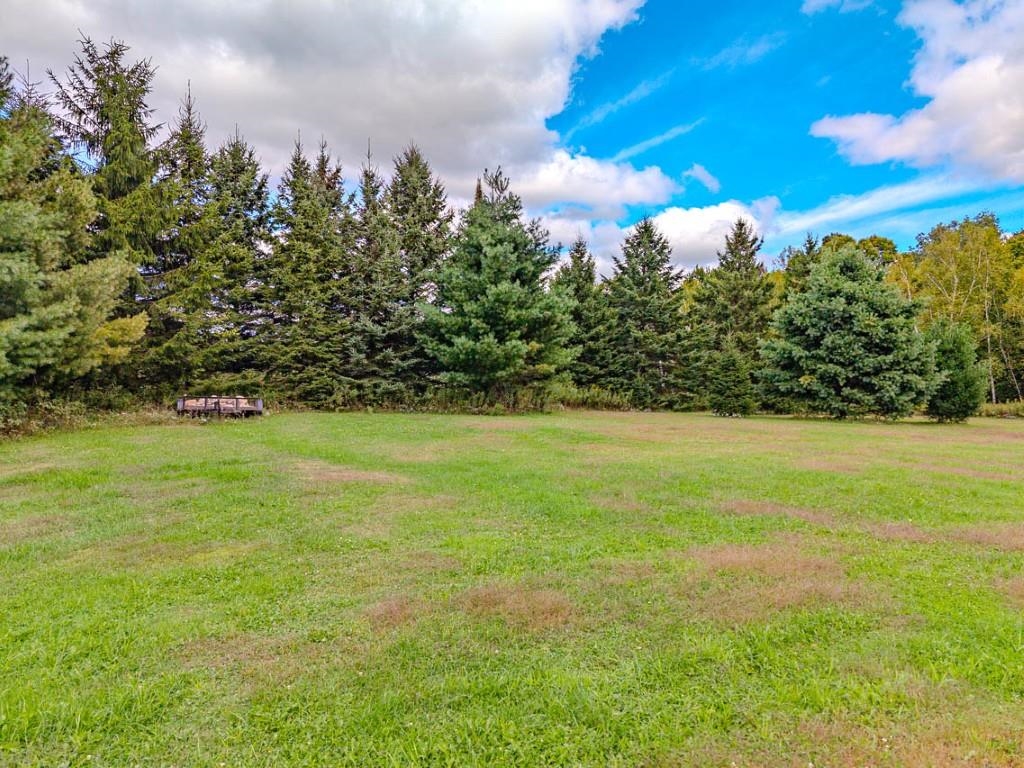 Grassy open lot bordered by dense trees, with a small bench near the tree line.