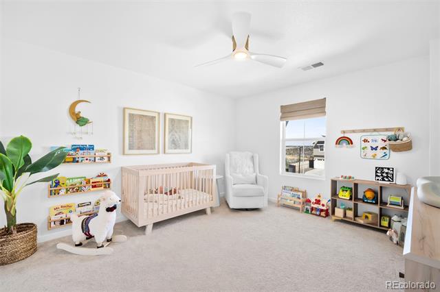 13273 Blue Amber Court
