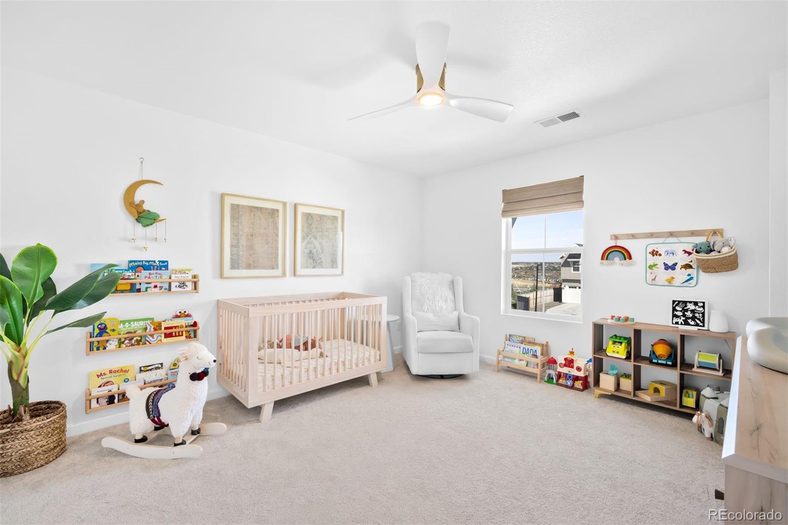 13273 Blue Amber Court