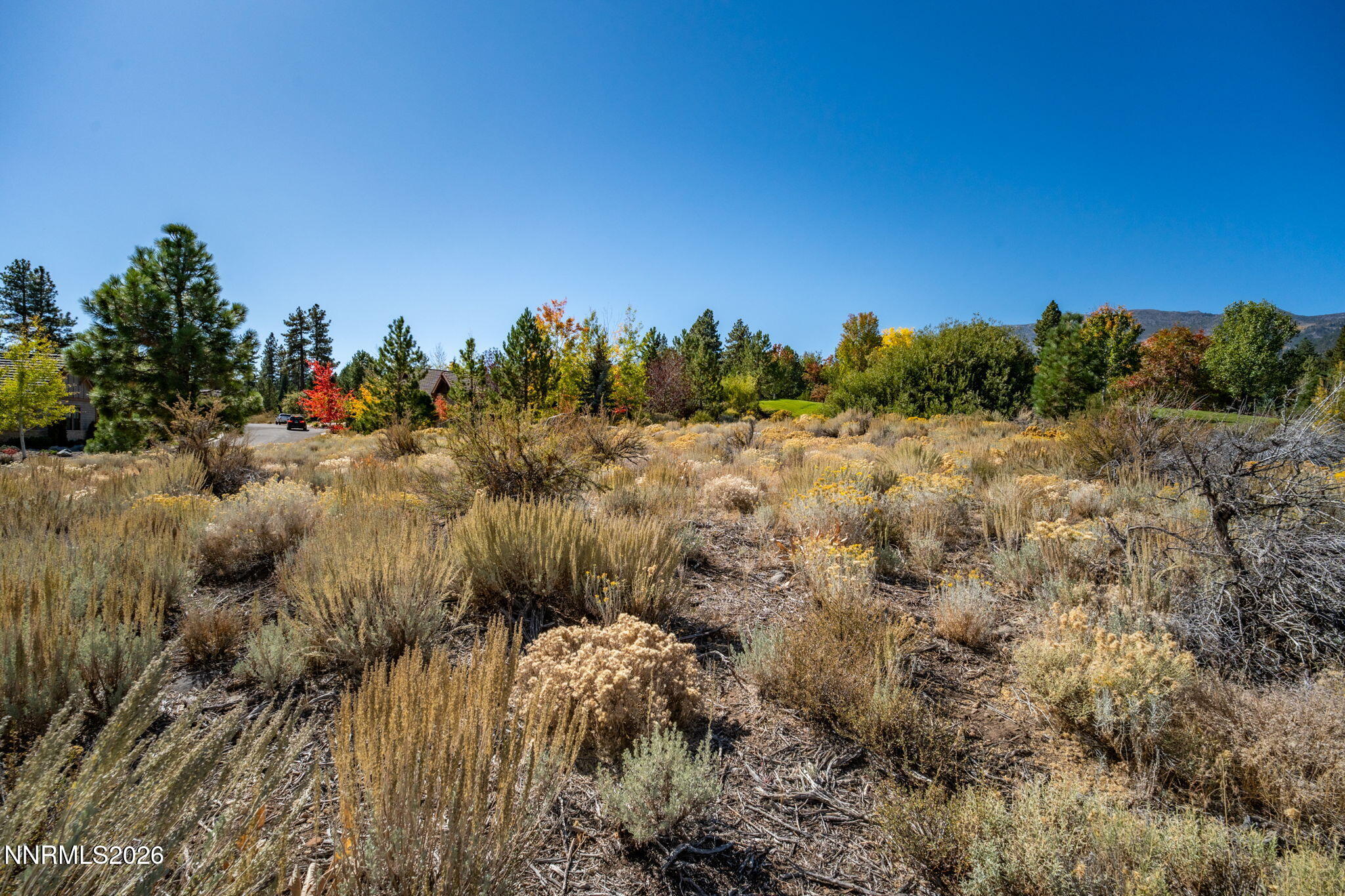 5685 Alpinista Circle