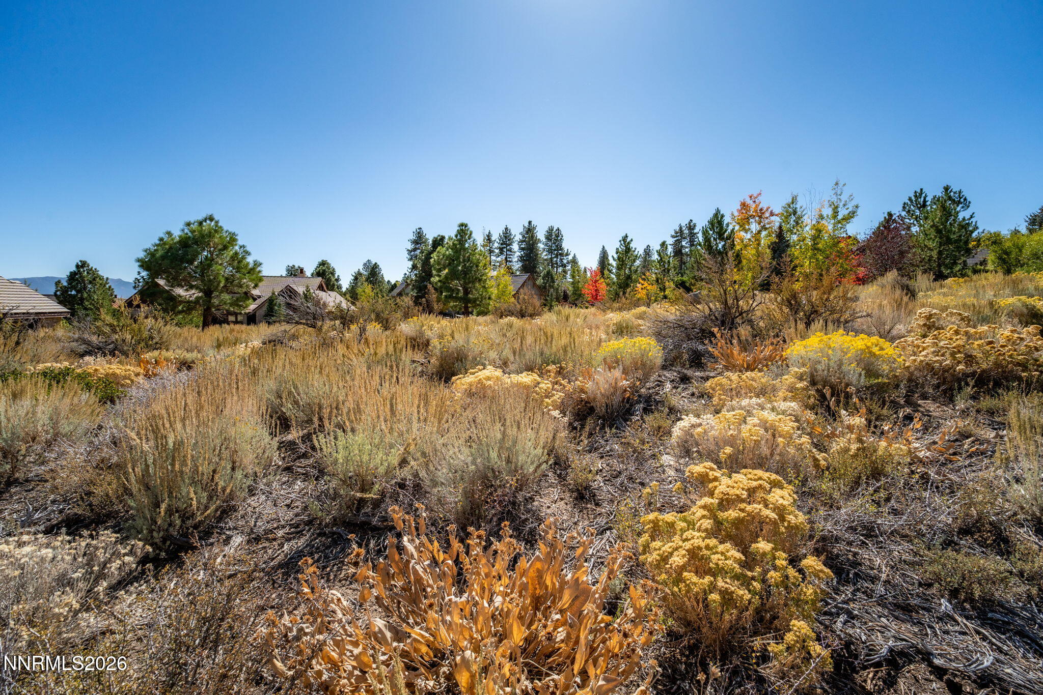 5685 Alpinista Circle