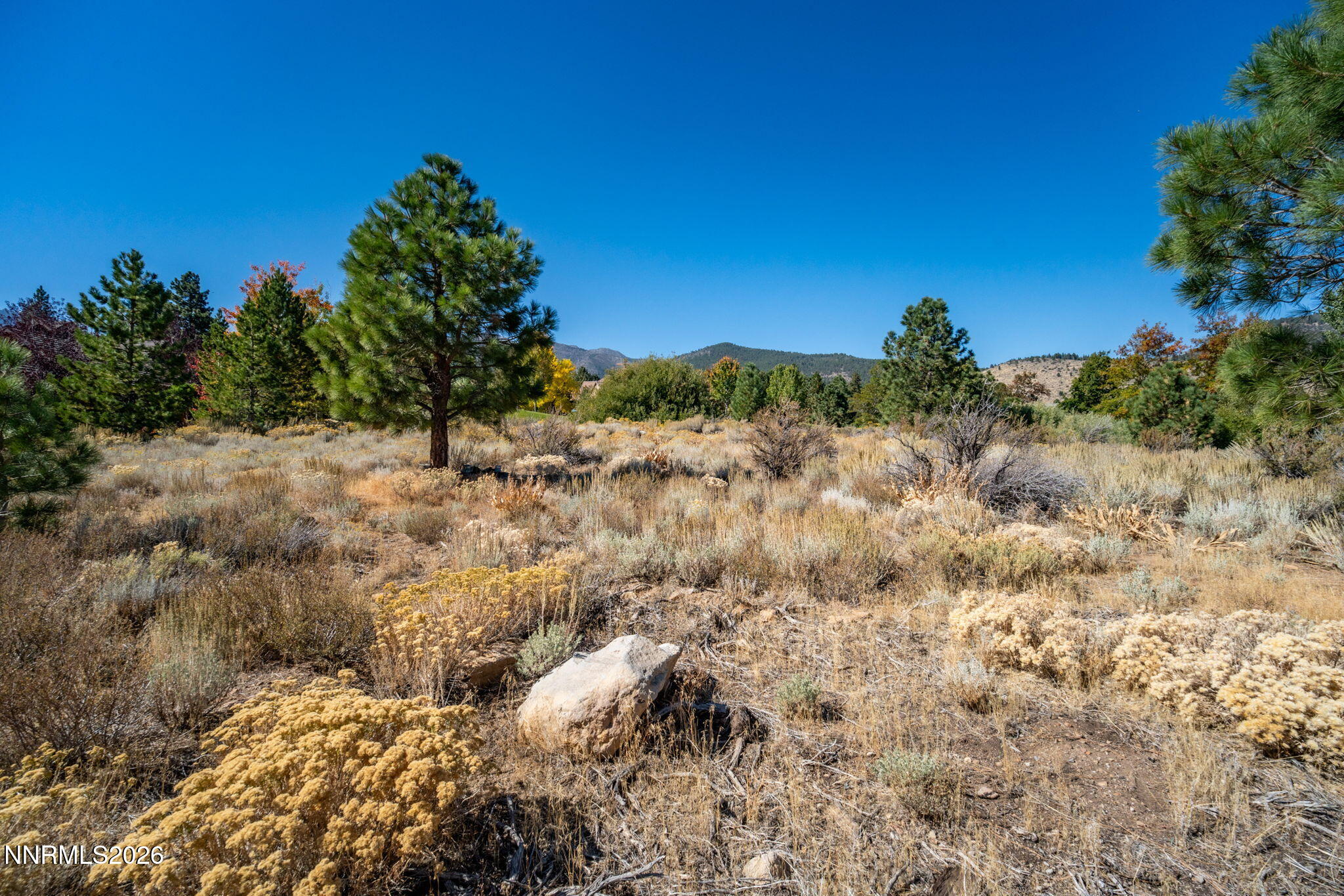 5685 Alpinista Circle