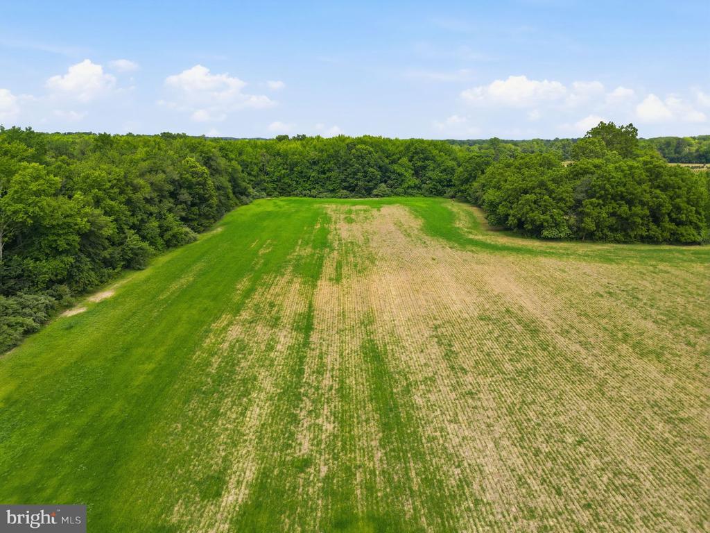 255 OLD MILL ROAD