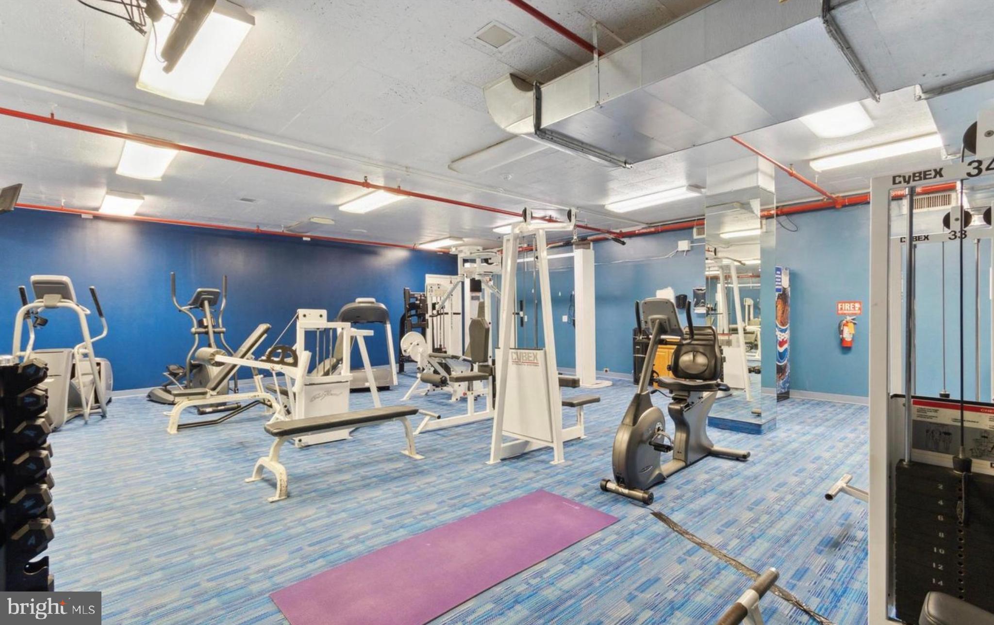 1324 LOCUST STREET 1508