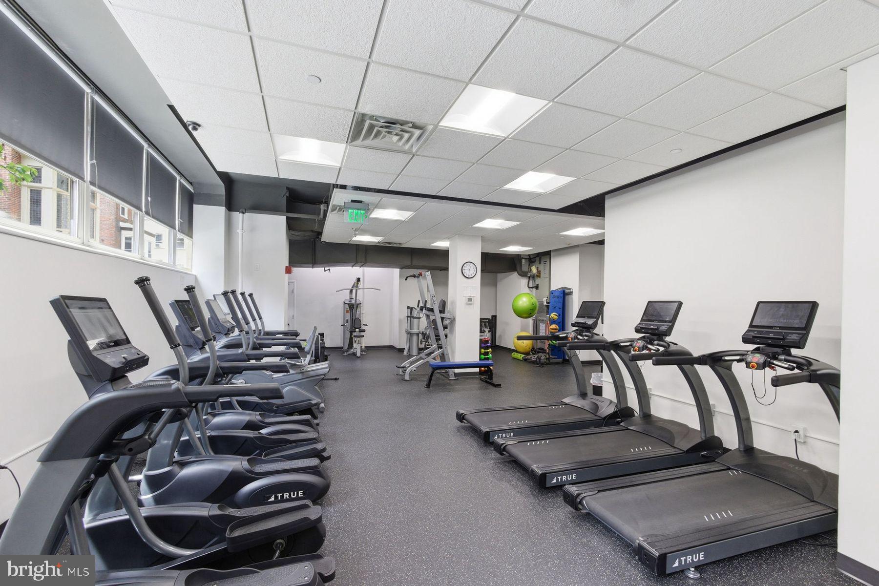 1810 RITTENHOUSE SQUARE 509