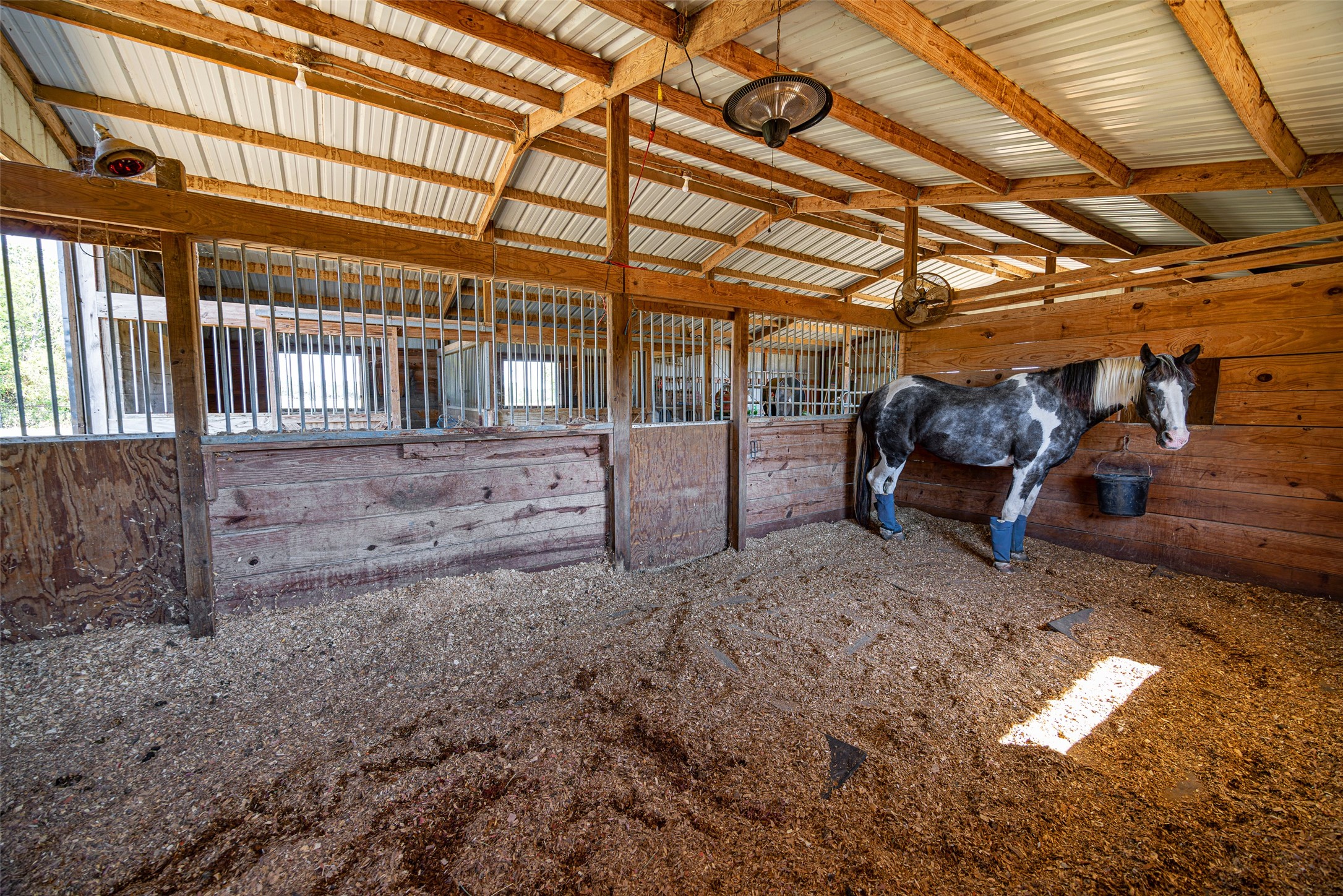 234 Whispering Trails Street