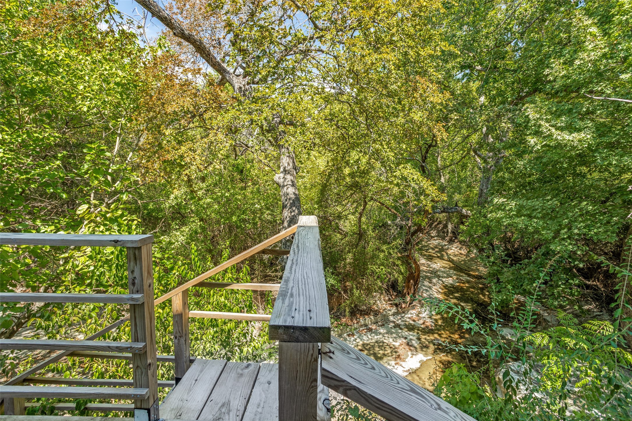 1229 Forest Cove Lane