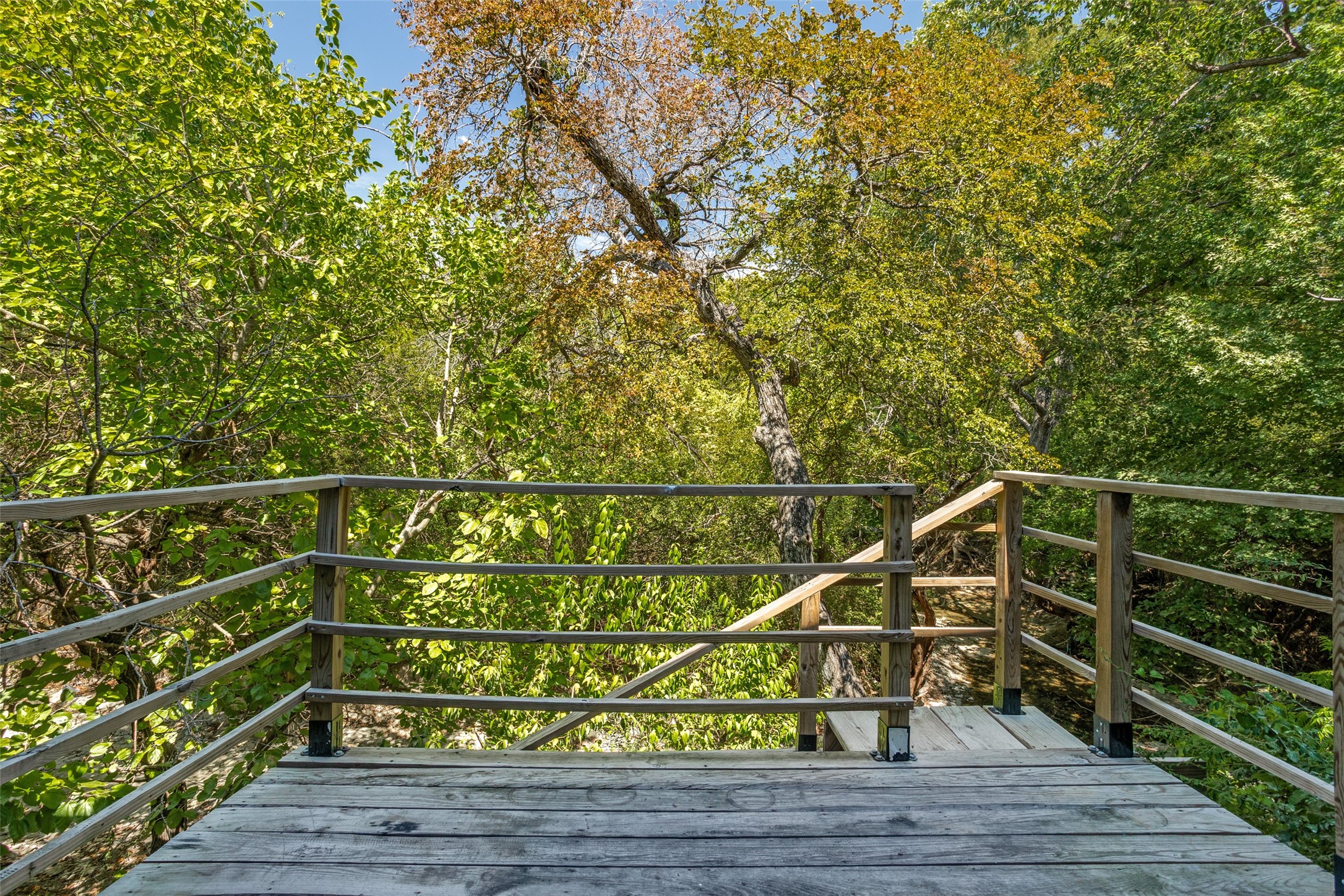 1229 Forest Cove Lane