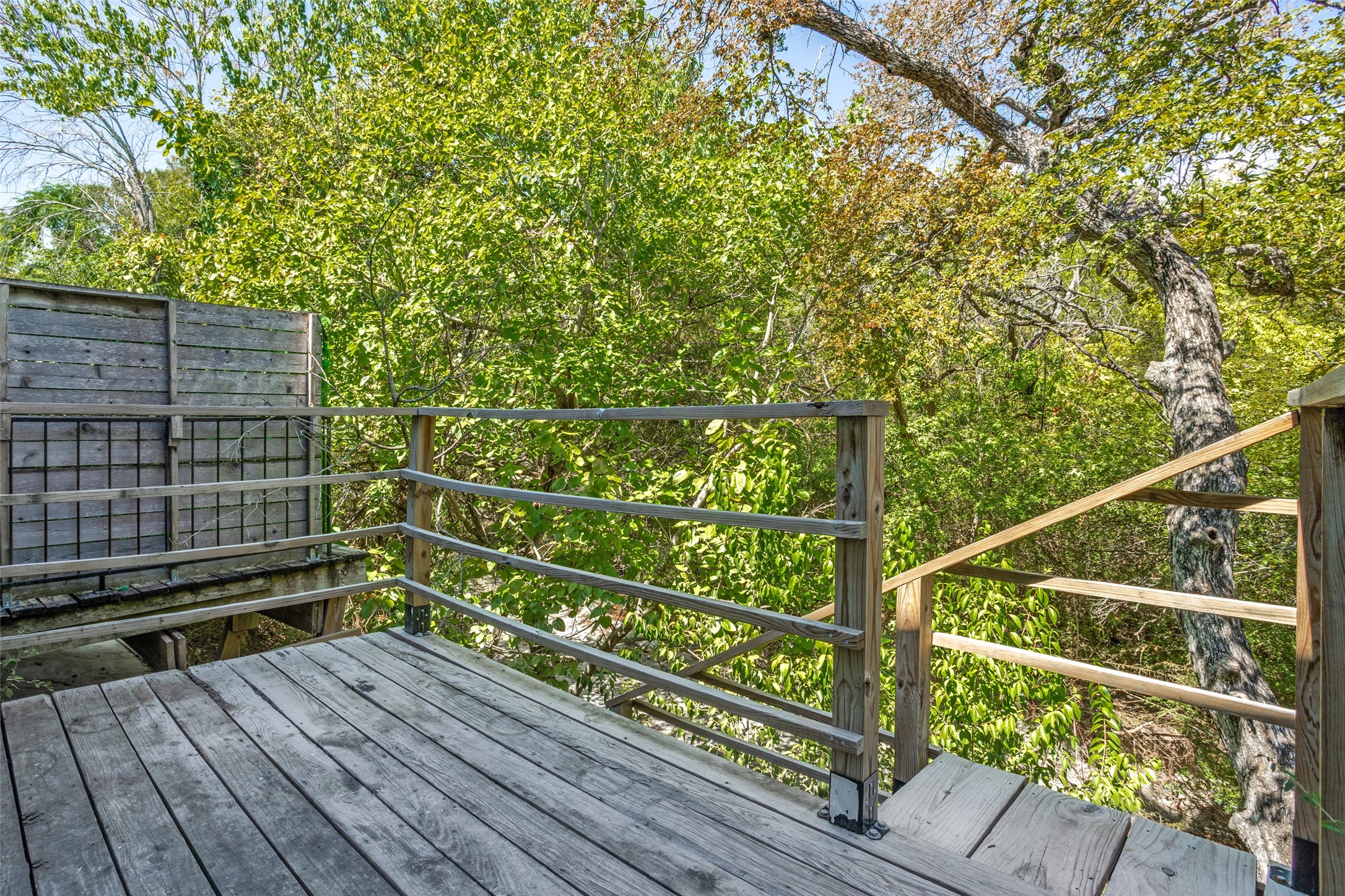 1229 Forest Cove Lane