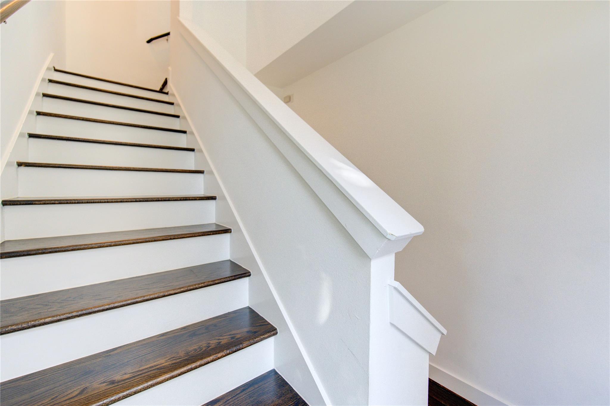 3014 Dolores Park Lane