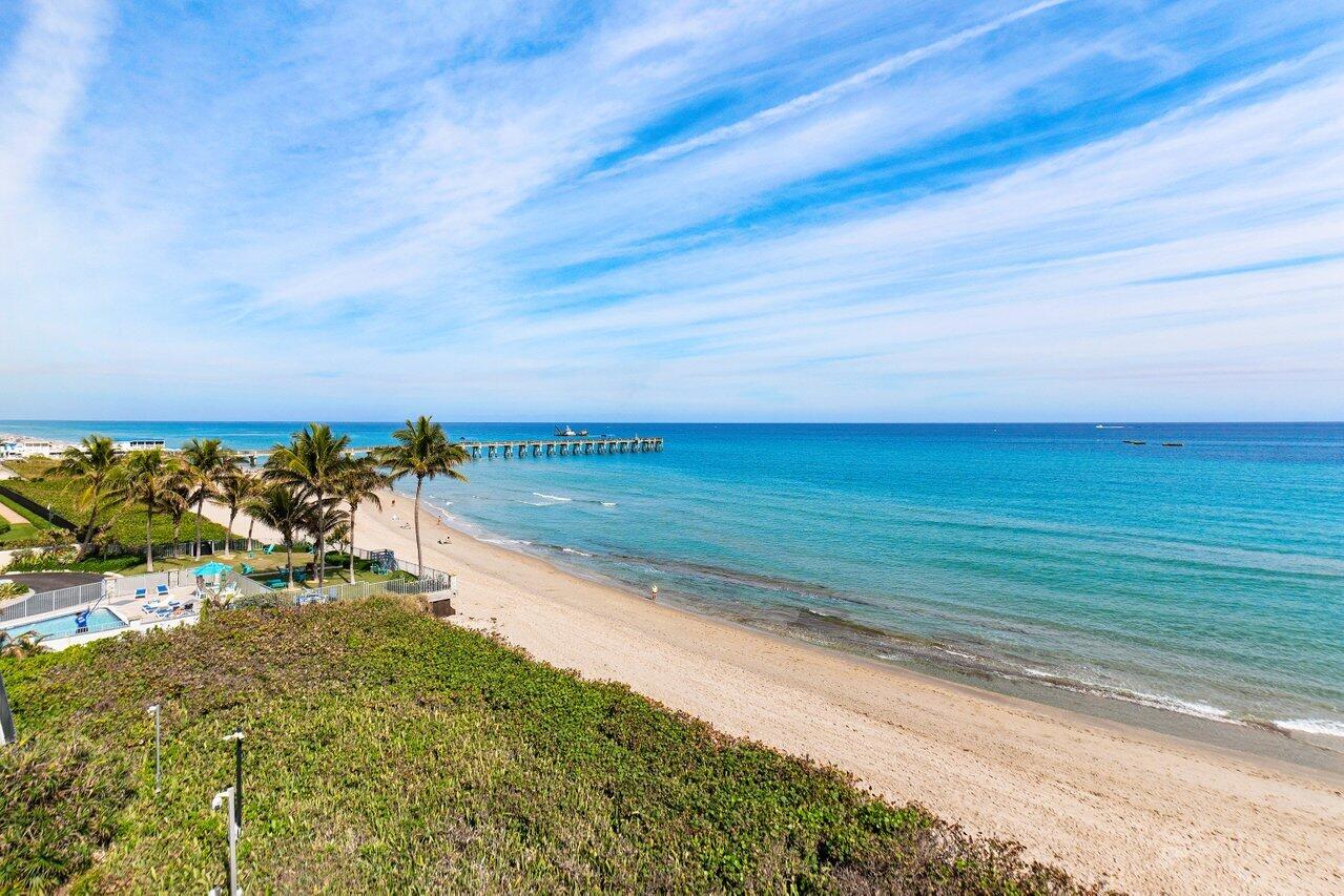 3100 S Ocean 504 N Boulevard 504n