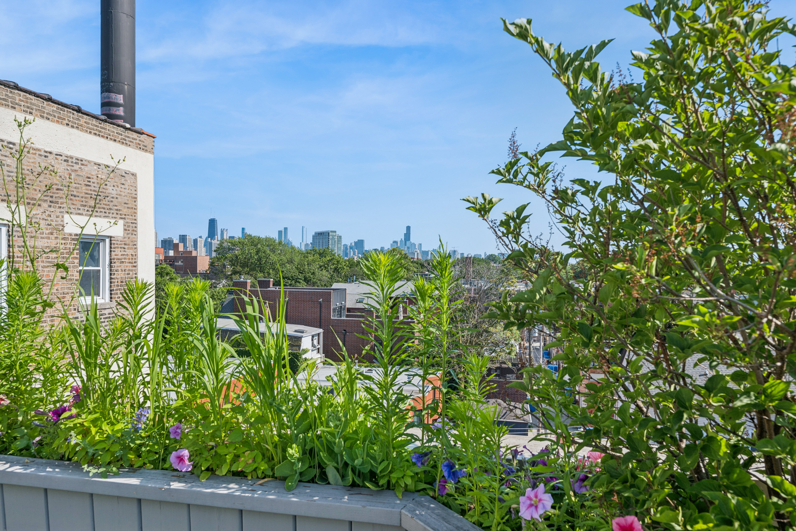 843 W Diversey Parkway Unit: 4