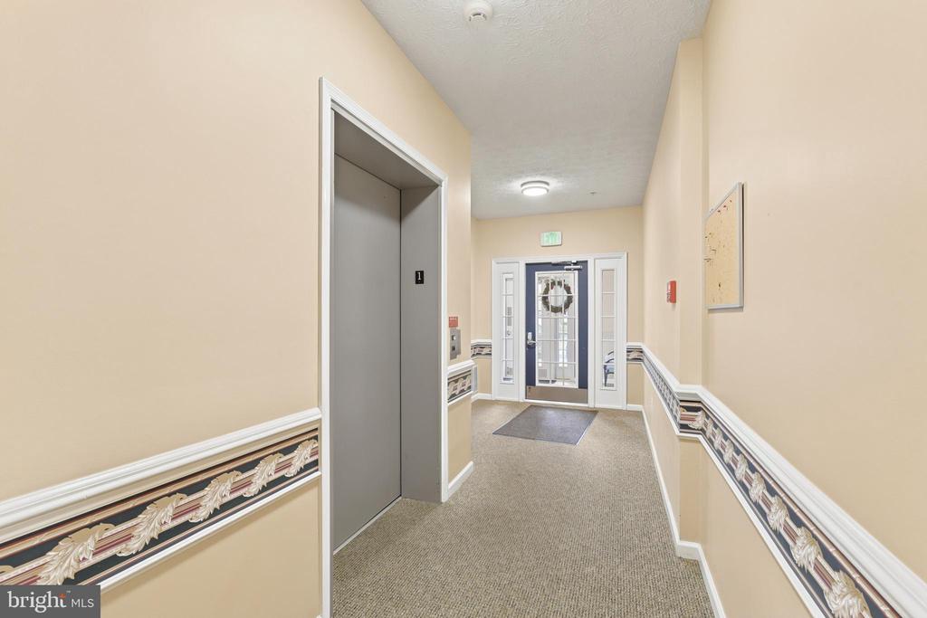 11 BROOK FARM COURT 11K