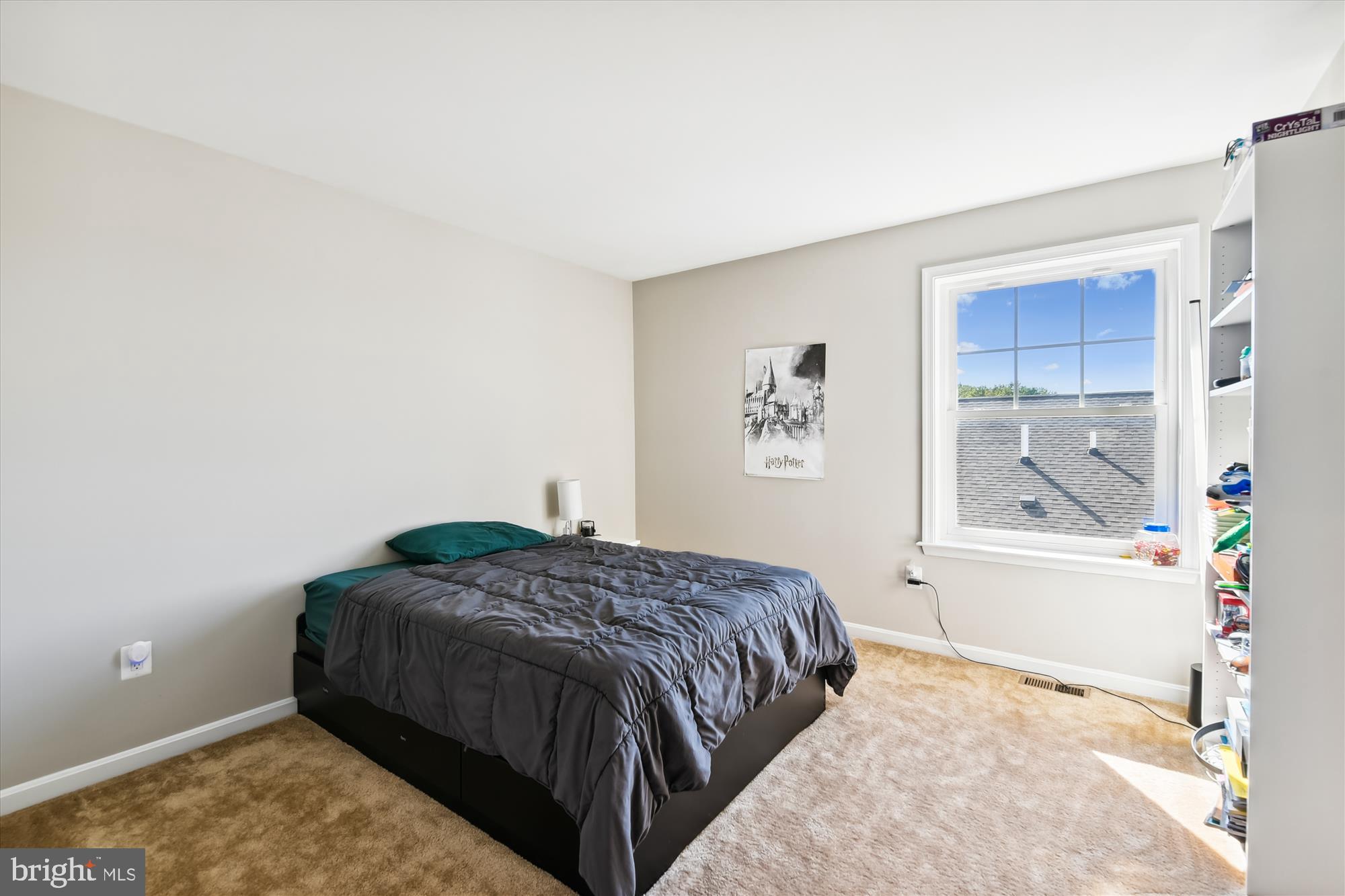 658 PEACE CHANCE DRIVE