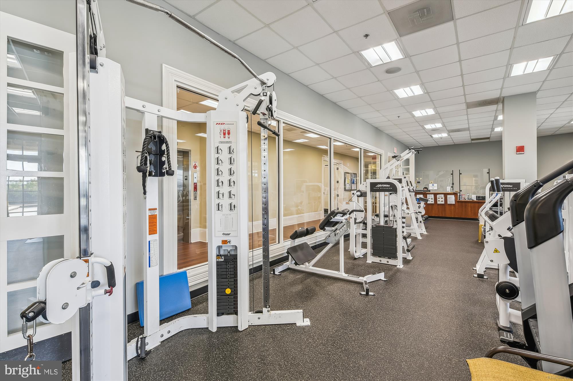 658 PEACE CHANCE DRIVE