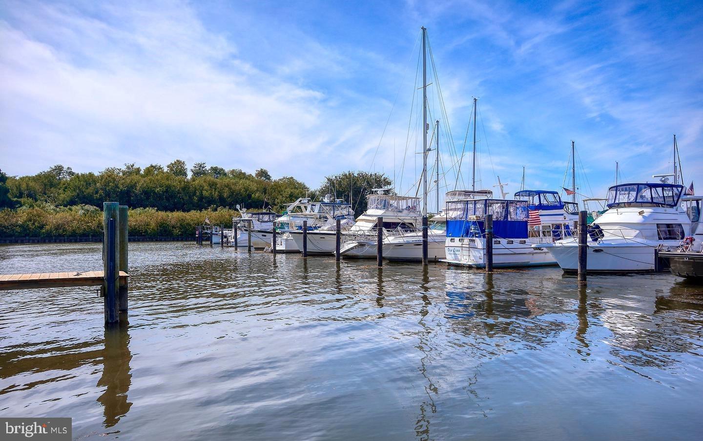 658 PEACE CHANCE DRIVE